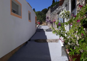 Apartments by the sea Tisno, Murter - 4298
